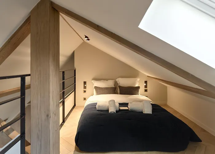 Luxury Flat In Le Marais